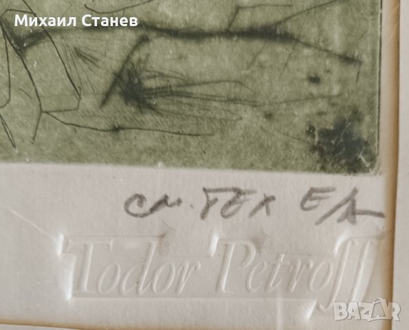 Картина смесена техника - Тодор Петров, снимка 3 - Картини - 43476226