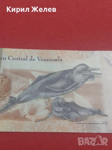 БАНКНОТА ВЕНЕЦУЕЛА УНИКАТ ПЕРФЕКТНО СЪСТОЯНИЕ МНОГО КРАСИВА ЗА КОЛЕКЦИЯ ДЕКОРАЦИЯ 36730, снимка 8 - Нумизматика и бонистика - 39847129