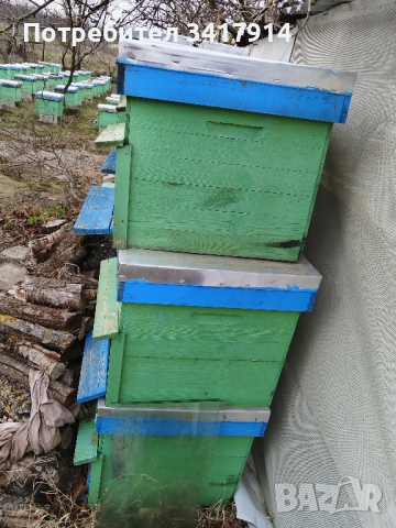 пчелни кошери с магазини, снимка 1 - За пчели - 44925957