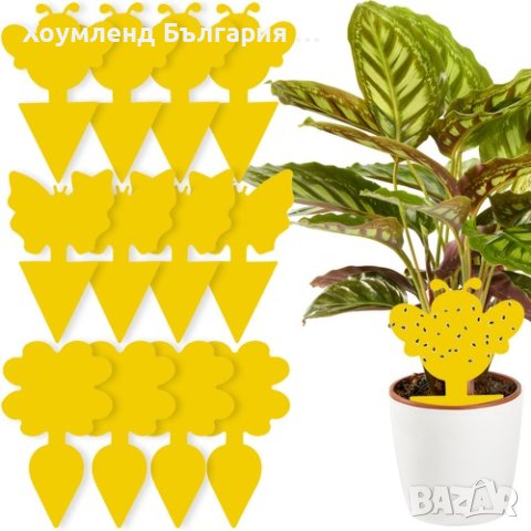 Капан за насекоми - 12 броя, снимка 2 - Други стоки за дома - 40861091