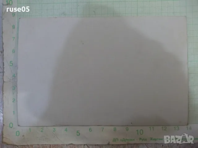 Снимка стара на група на реката под дървото, снимка 2 - Колекции - 48005193