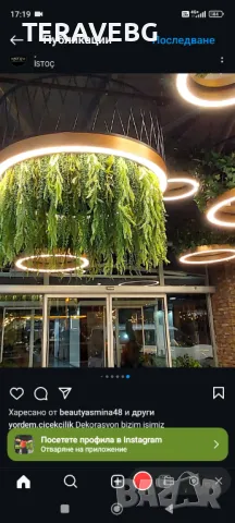 Висящи изкуствени растения , снимка 7 - Изкуствени цветя - 48670825