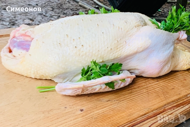 Патици,Пуйки , снимка 2 - Патици и гъски - 51881612