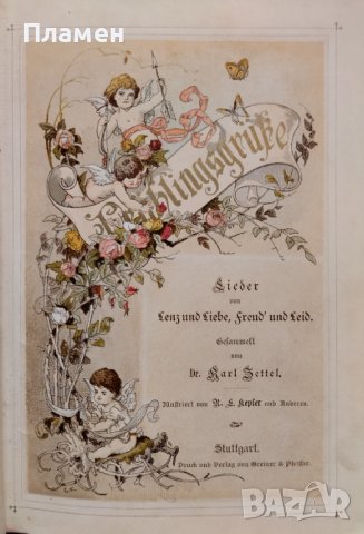 Книга на старонемски език /1860/, снимка 3 - Антикварни и старинни предмети - 44015807