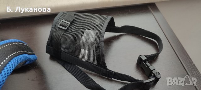 Нови нагръдник, намордник и светещ нашийник, снимка 3 - За кучета - 43309225