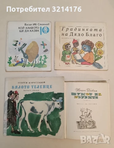 Кой каквото ще да казва - Васил Ив. Стоянов