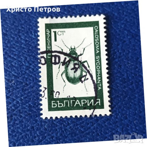 БЪЛГАРИЯ 1969 - ФАУНА, НАСЕКОМИ, снимка 1 - Филателия - 39606826