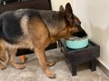 Поставка за храна/вода - куче, коте , снимка 10