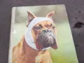 ABC DER HUNDEKRANKHEITEN 0302251439, снимка 5
