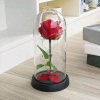 Вечна роза в стъкленица с LED лампички в подаръчна кутия подарък за Свети Валентин , снимка 2 - Подаръци за жени - 43961776