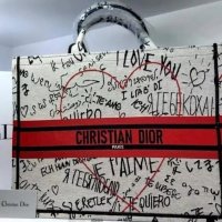 Dior чанта и чехли от 36 до 41 размер , снимка 12 - Чанти - 37123418