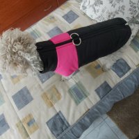 Ново! Топло яке за куче, есен и зима,дебело,водоустойчиво, снимка 11 - За кучета - 40442231