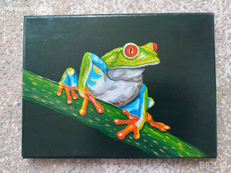 Красива картина на жаба, снимка 1