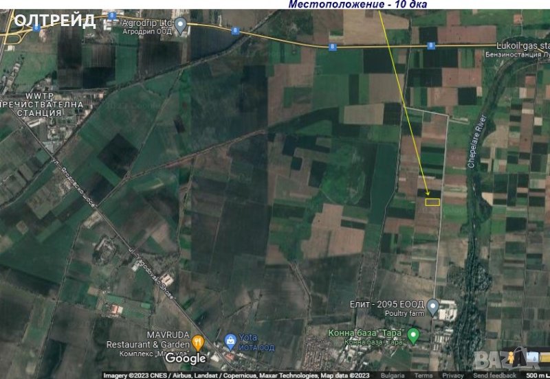 Нива в Ягодово, снимка 1