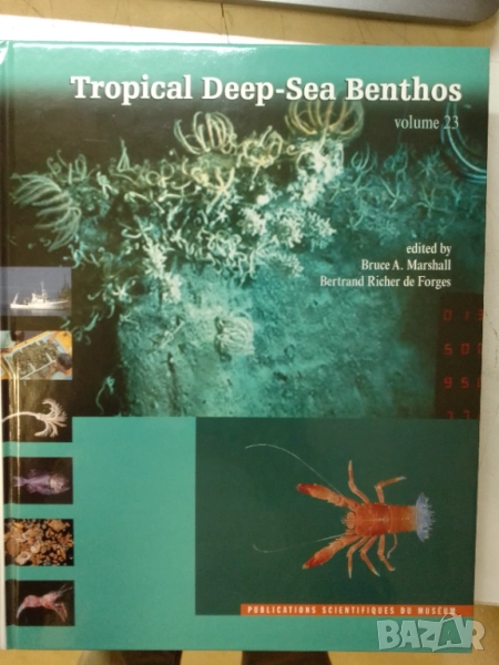 Тропическо море-Tropical Deep Sea Benthos, снимка 1