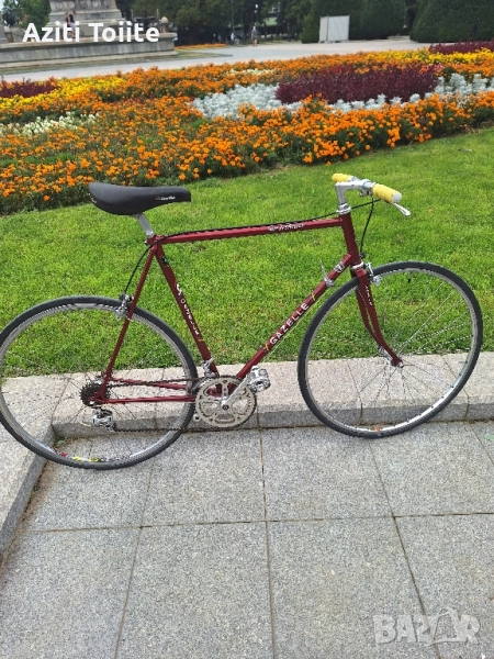 Gazelle tour de L.Avenir, снимка 1