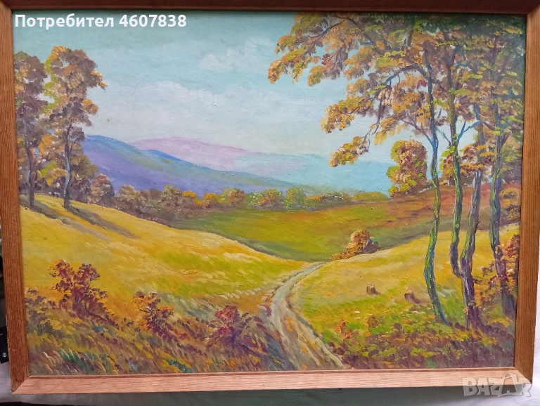 Картина 71-52 см, снимка 1