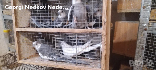 Продавам корели