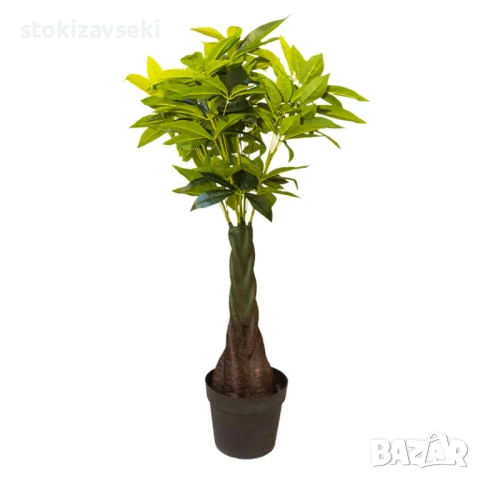 Дървото на парите, 140см, снимка 1