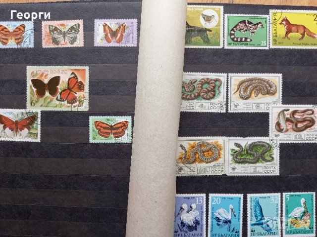 Колекция пощенски марки около 200 бр., снимка 2 - Филателия - 33278795