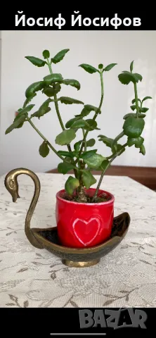 Бронзови фигурки разни, снимка 13 - Антикварни и старинни предмети - 48783758