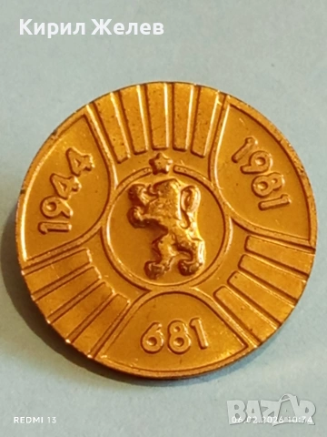 Две значки Христо Ботев - 1300г. България редки за КОЛЕКЦИЯ 53615, снимка 7 - Колекции - 53378764