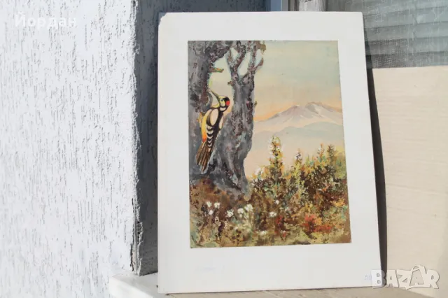Акварел /автор-Никола Пилчев/ ''Кълвач''