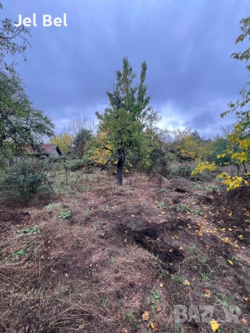 Две Къща с 3дка Двор в Казанлък, Вилна Зона "Старите Лозя" и Тюлбето, снимка 13 - Къщи - 52512610