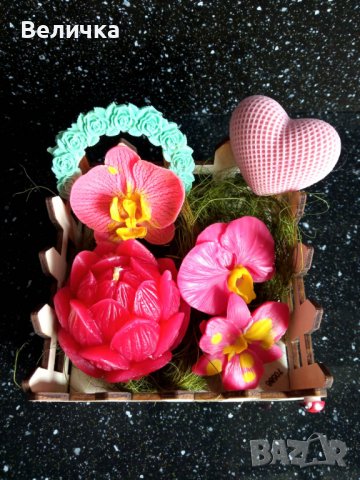 Оградка с орхидеи 