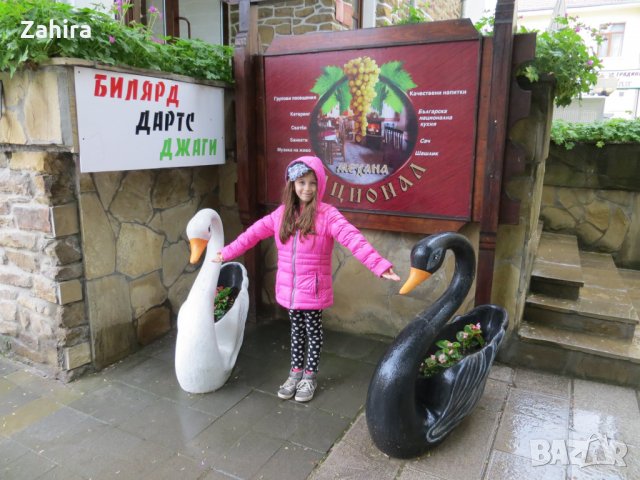  якета , снимка 5 - Детски якета и елеци - 24281449