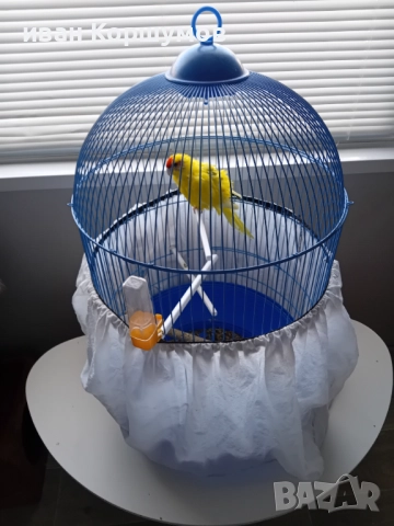 Голям папагал с клетката 60 лв