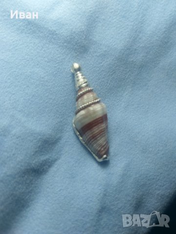 Медальон раковина, снимка 3 - Колиета, медальони, синджири - 32575933