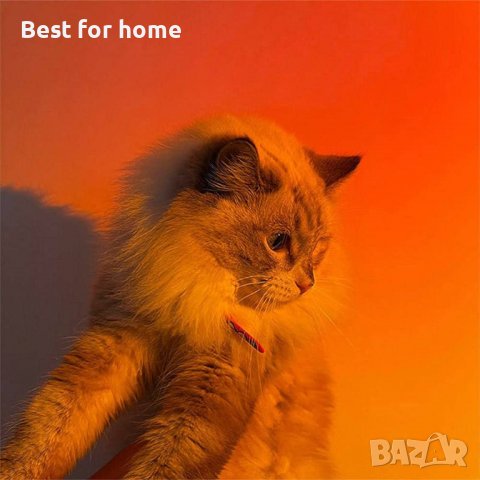 Лампа проектор - залез Sunset Lamp 10W LED, снимка 5 - Други - 40186946