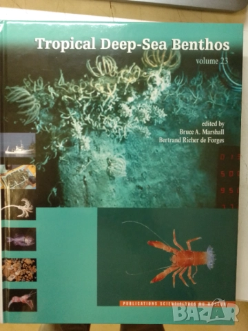 Тропическо море-Tropical Deep Sea Benthos