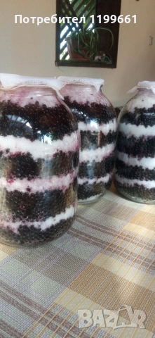 сироп от черен бъз , снимка 4 - Други услуги - 51570496