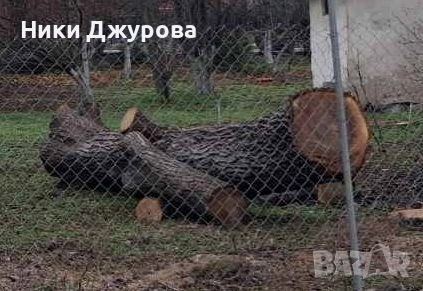 Орехов материал, снимка 3 - Дърводелски услуги - 52714678