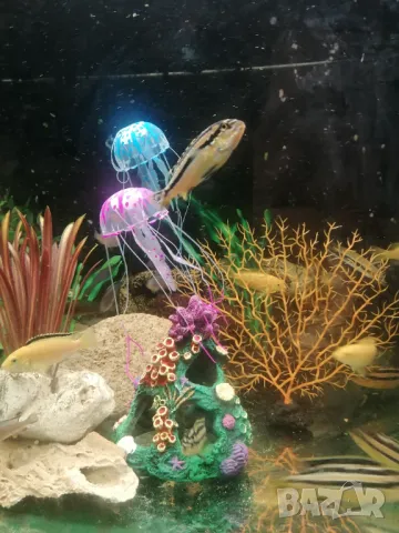 Продавам изкуствени медузи за аквариум, снимка 2 - Аквариуми - 47764087