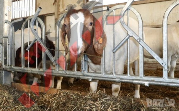 Решетка за доене на овце/кози. За 12 броя, снимка 7 - Овце - 52772550