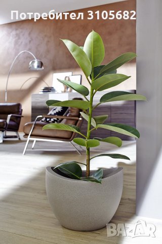 Градинска саксия в цвят гранот, снимка 3 - Саксии и кашпи - 33379413