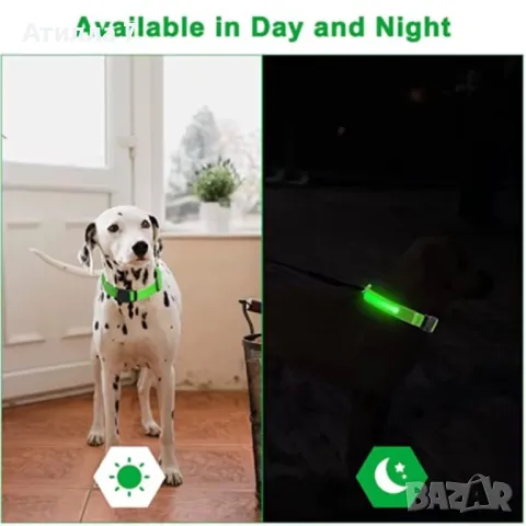 Светещи нашийници за кучета с USB зареждане, снимка 4 - За кучета - 49211350