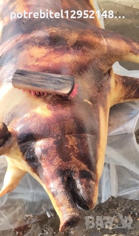 Пърлена сланина-10лв за кг, снимка 5 - Прасета - 52674237