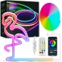 Неонова въжена светлина Daymeet, 5M RGBICW LED лента, дистанционно, IP67, USB, снимка 1
