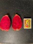 Смокиня индийска, Кактус опунция, Opuntia ficus-indica Etna, екзотични,овощни, снимка 1 - Градински цветя и растения - 29442292