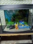 Аквариум Тетра 130 литра, снимка 4