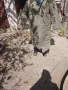 Дреха, плащ за обучение на кучета, снимка 1