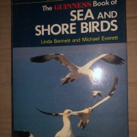 Guinness Book of Sea and Shore Birds , снимка 1 - Други - 35296798
