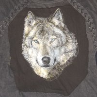 Блуза с вълк, снимка 1 - Тениски - 37152047