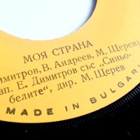 Песен за Альоша, Моя страна - ВТК 3116, снимка 4 - Грамофонни плочи - 43698906