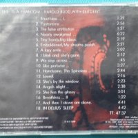Harold Budd With Zeitgeist – 1994 - She Is A Phantom(Ambient,Contemporary), снимка 4 - CD дискове - 42986382