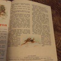 Списание Дружинка 1953г, снимка 9 - Списания и комикси - 44088731